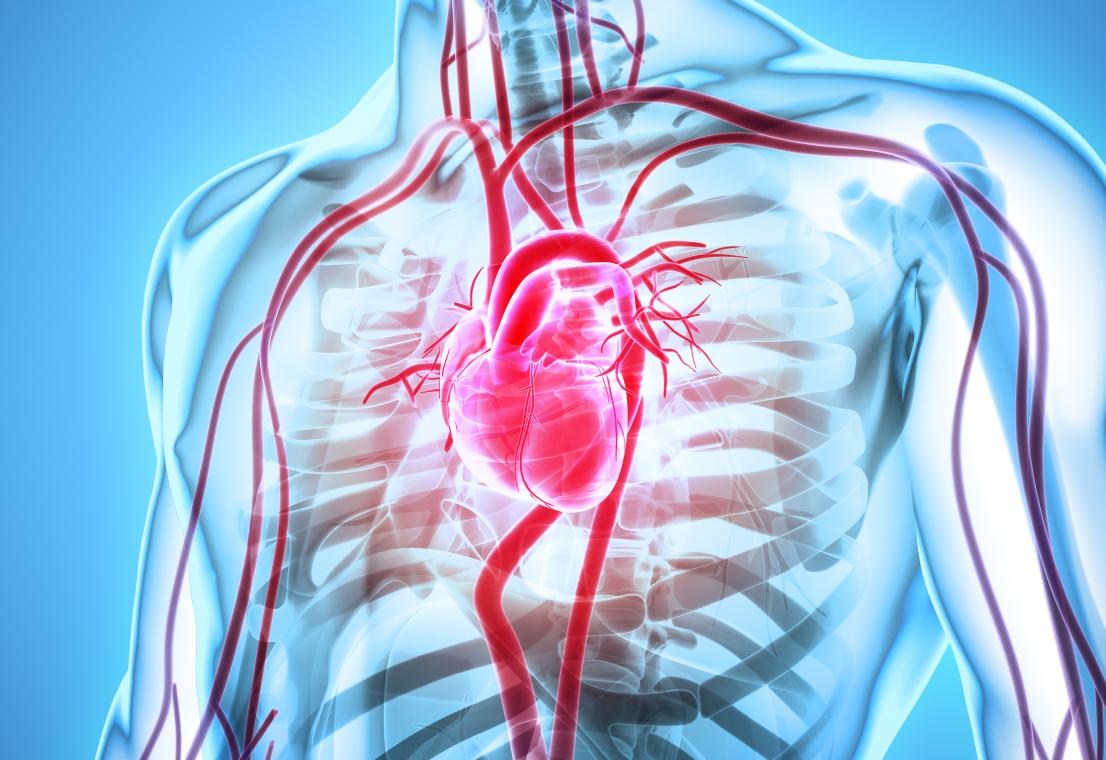 Catheter Ablation Saves Life: Time to Act - MTAA